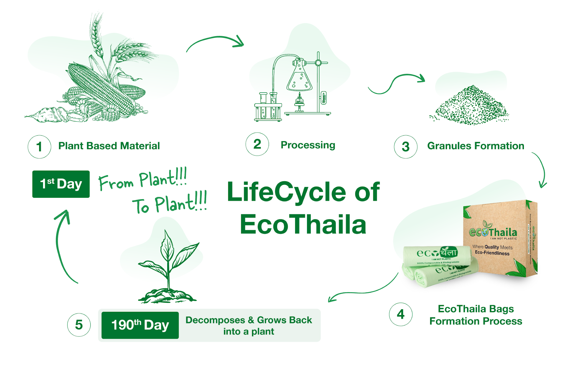 EcoThaila lifecycle from soil back to soil